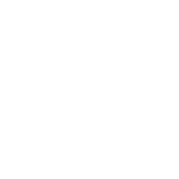 oeil
